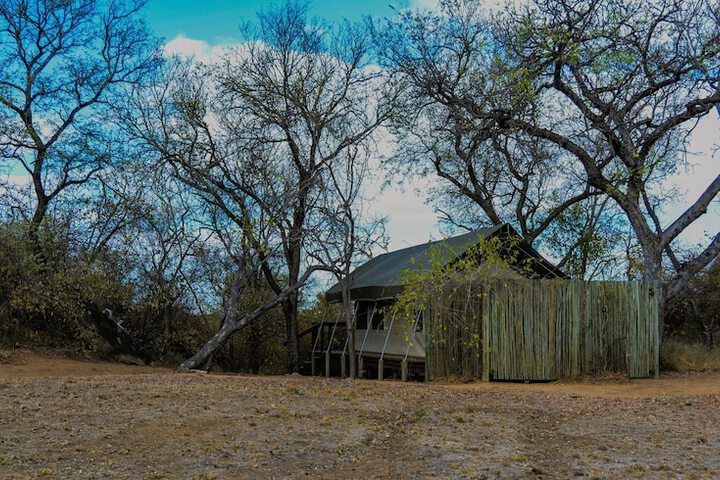 Property Grounds 46 of 95
