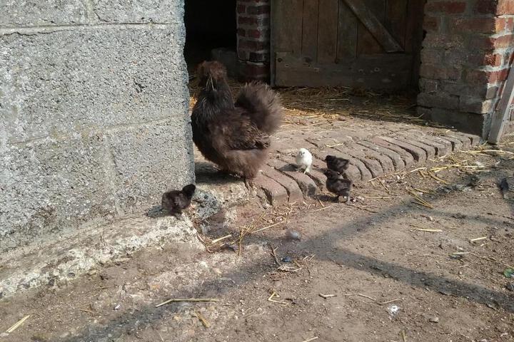 General 30 of 48