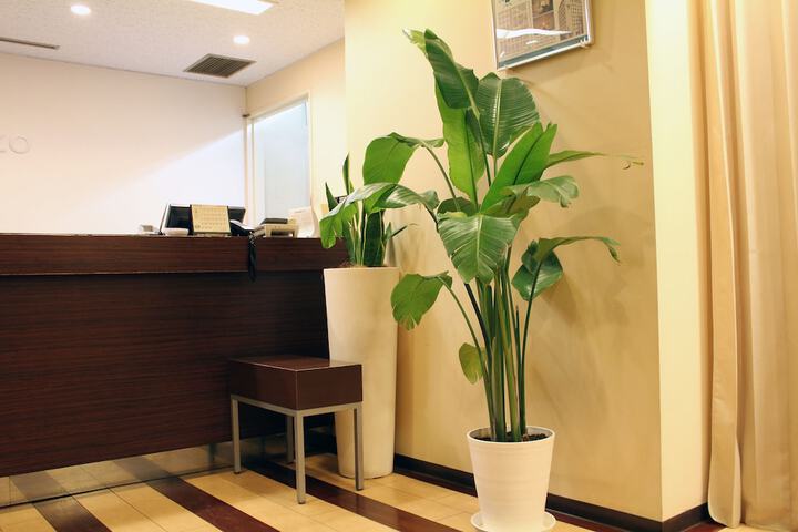 Guest Lobby