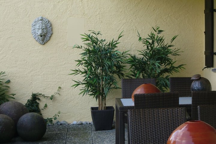 Terrace/Patio 50 of 63