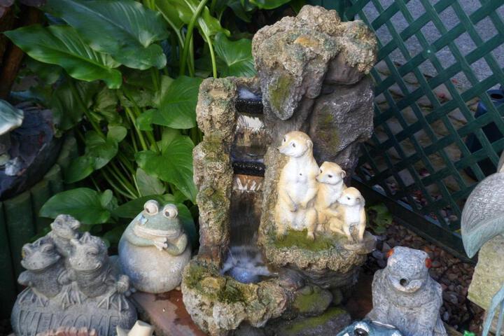 Photo 28