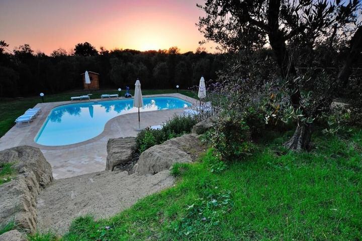 Hotel Pool