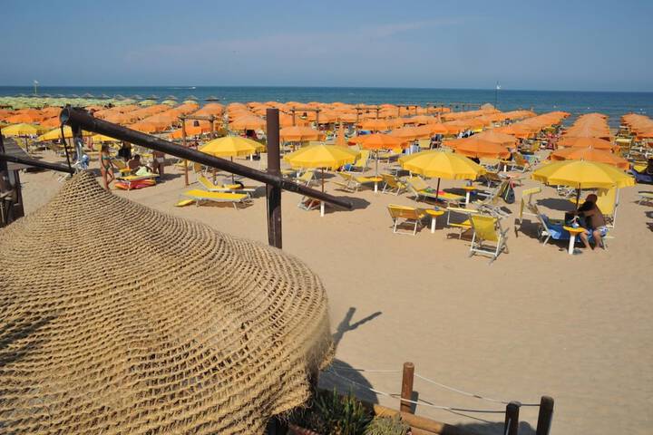 Beach 44 of 56
