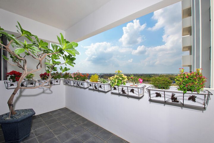Terrace/Patio 7 of 13