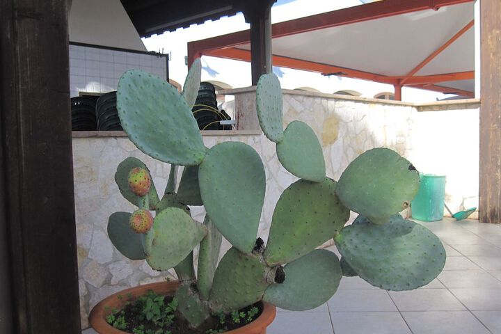 Terrace/Patio 68 of 72