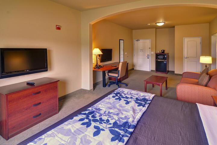 1 King Bed Accessible (2 of 24)
