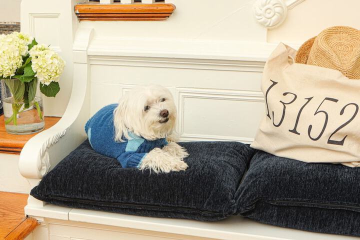 Pet Friendly 16 of 44