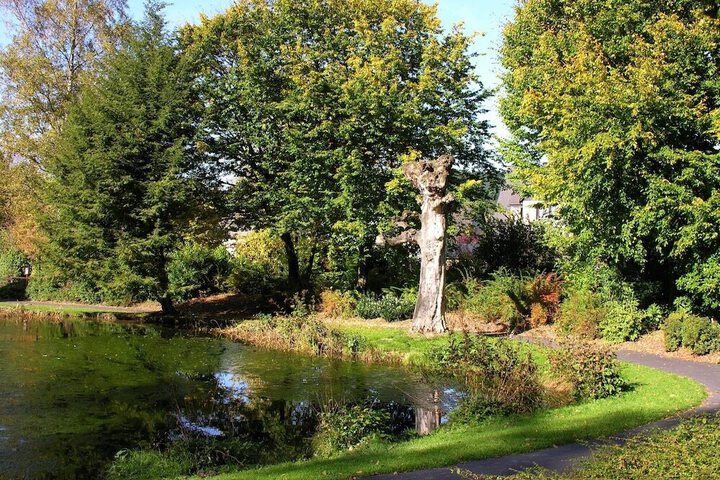Photo 16