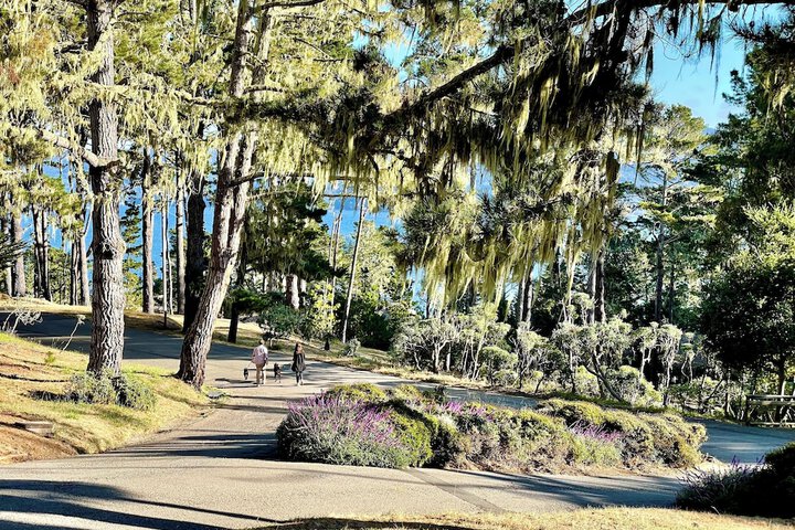 Outdoor Activities 53 of 75