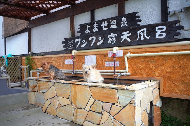 Pet Friendly 50 of 92