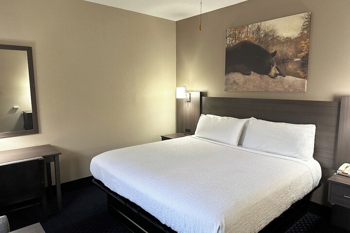1 King Bed Deluxe No Pets (7 of 30)