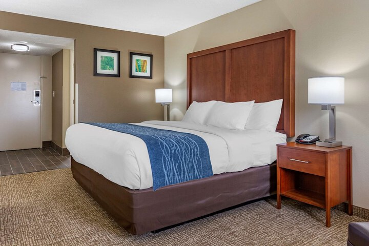 1 King Bed (14 of 18)