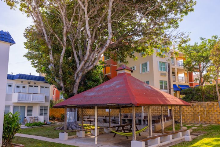 Terrace/Patio 29 of 29