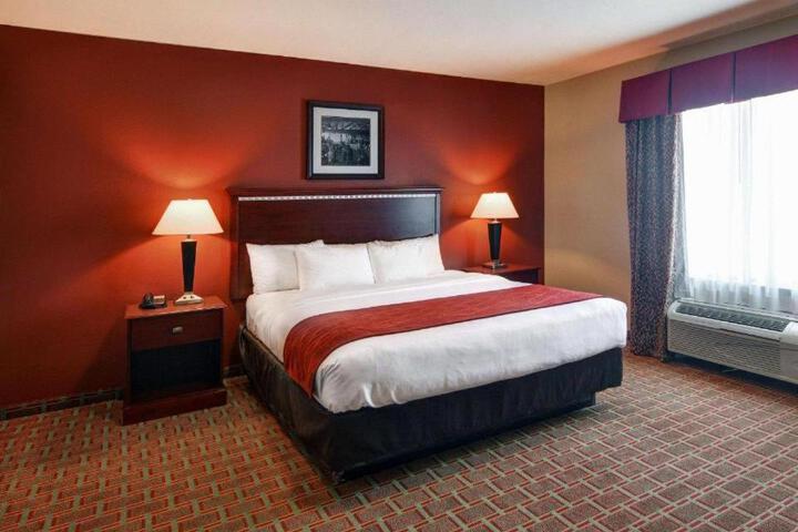 1 King Bed Suite (12 of 20)