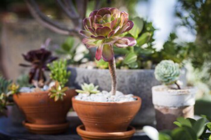 Hotel Exterior 7 of 24