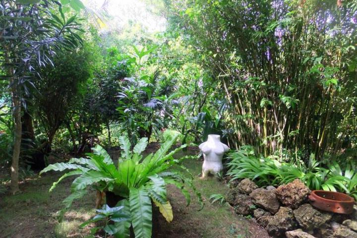 General 36 of 50