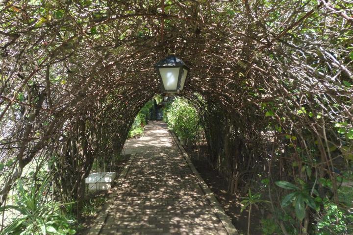 Spa and Wellness Pictures