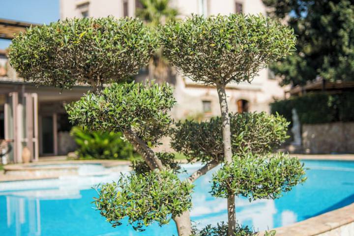 Pools & Facilities