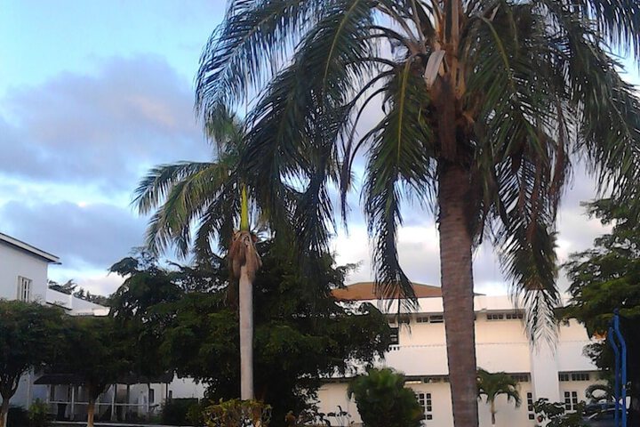 Property Grounds 42 of 78
