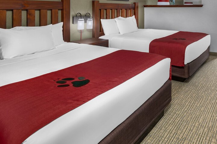 Family Suite 2 Queen Beds Sofa (6 of 20)