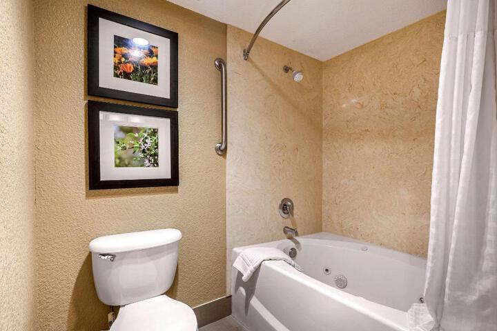 1 King Bed Accessible (14 of 22)
