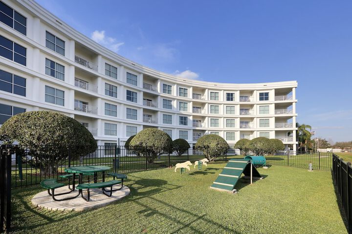 Pet-friendly amenities