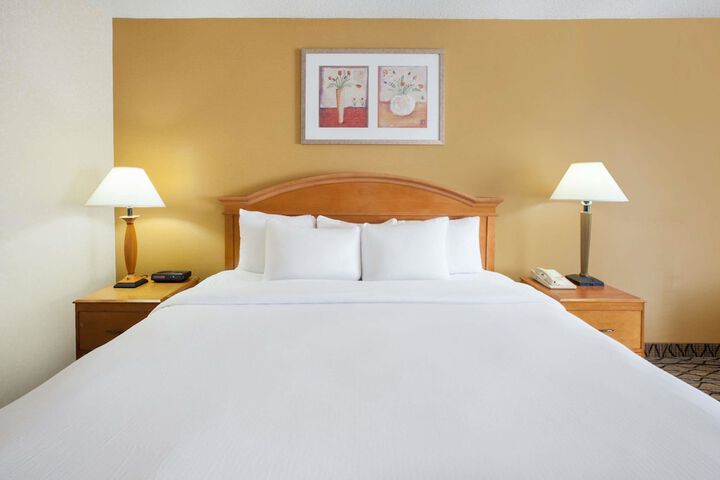 Suite King Bed 1 Bedroom
