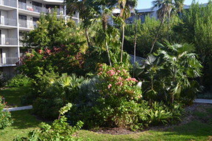 Hotel Exterior 9 of 40