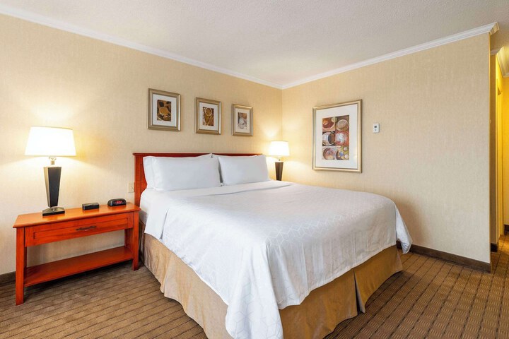 1 King Bed Upgrade (13 of 13)
