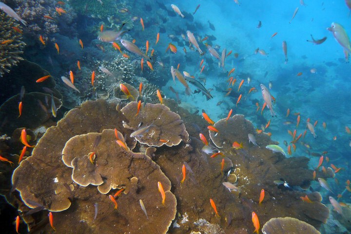Ecotours