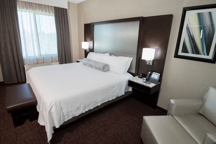Deluxe King Bed (3 of 31)