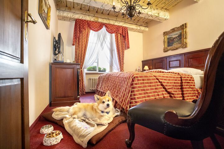 Pet-friendly