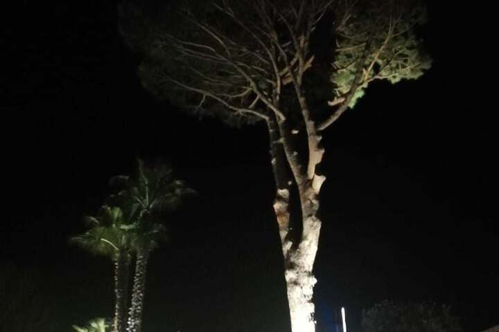 Hotel 8 of 34