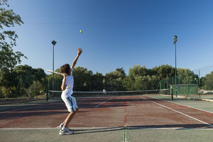 Tennis court