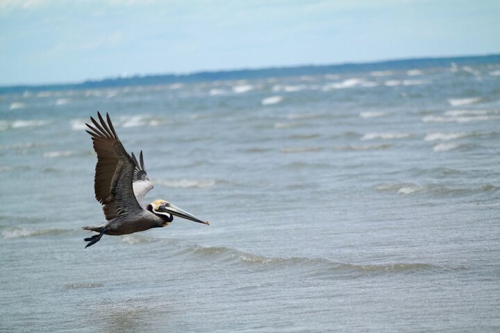 Beach 38 of 46