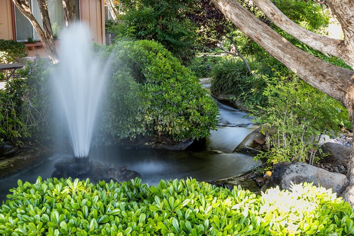 Fountain