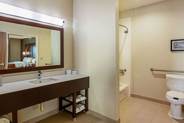 1 King Bed Suite (9 of 23)