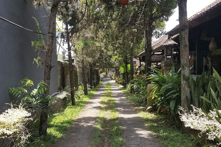 Property Grounds 18 of 26