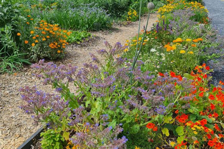 Spa and Wellness Pictures