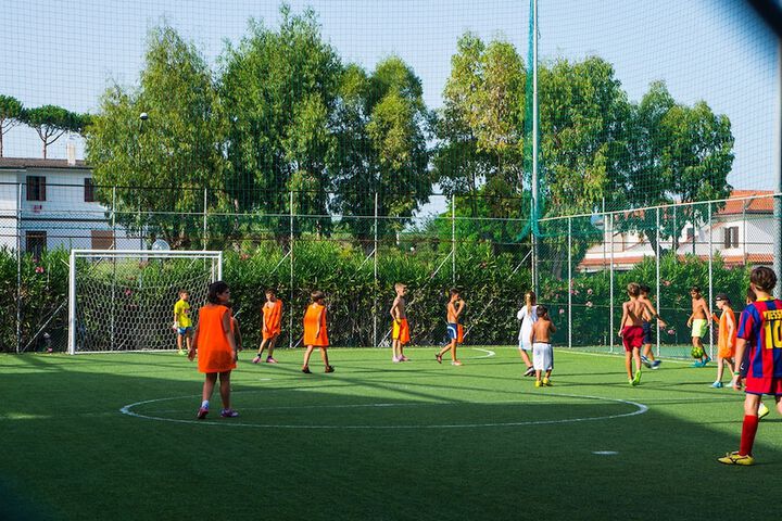 Sport court