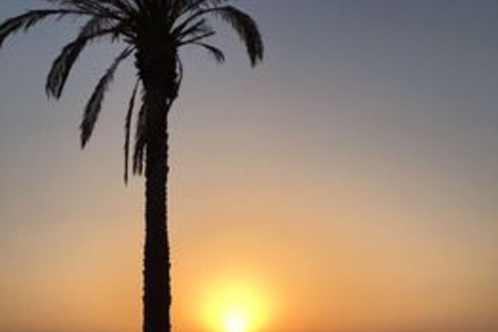 Beach 15 of 89