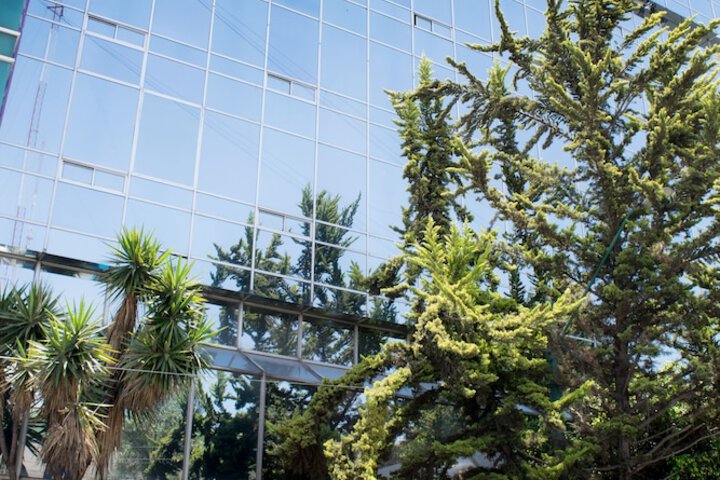 View from property
