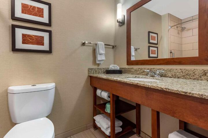 1 King Bed Suite (9 of 13)