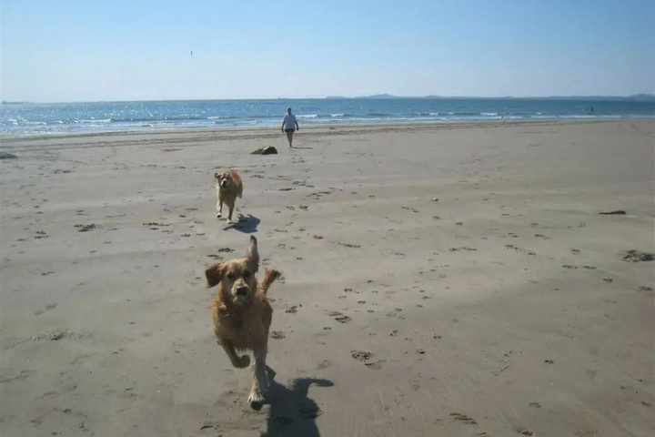 Beach 14 of 17