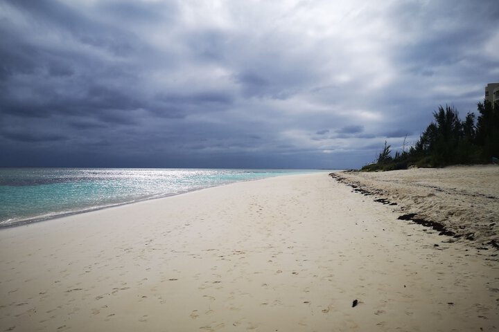 Beach 44 of 56