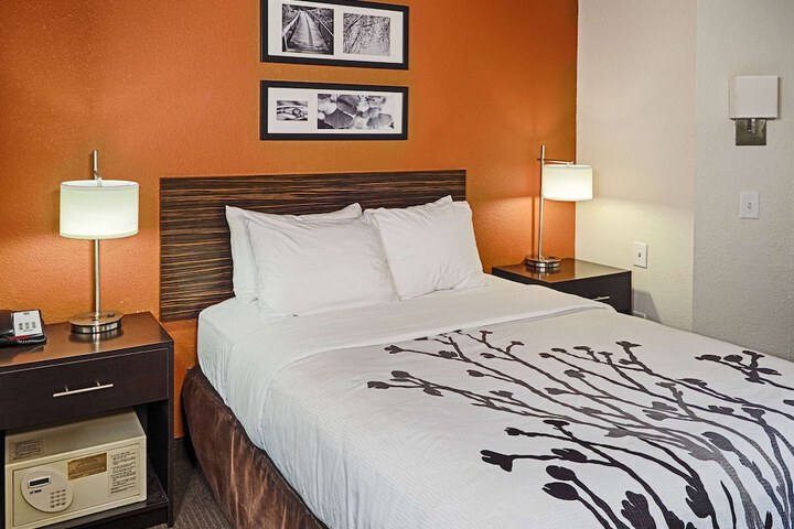 Queen Bed Accessible (7 of 12)
