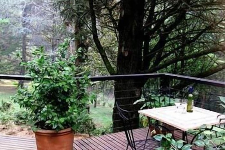 Terrace/Patio 17 of 54