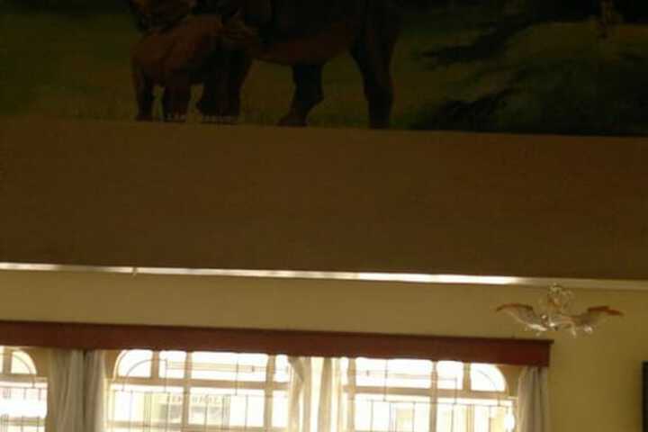 Hotel Interior 25 of 30