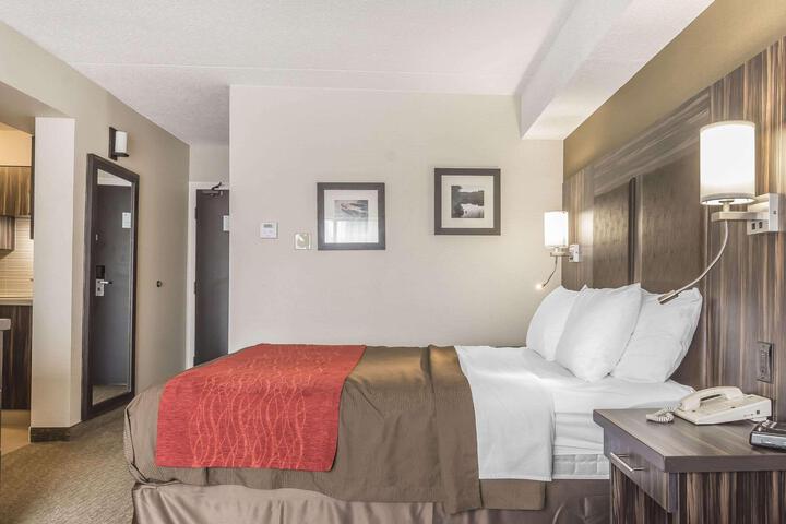 1 Queen Bed (8 of 16)
