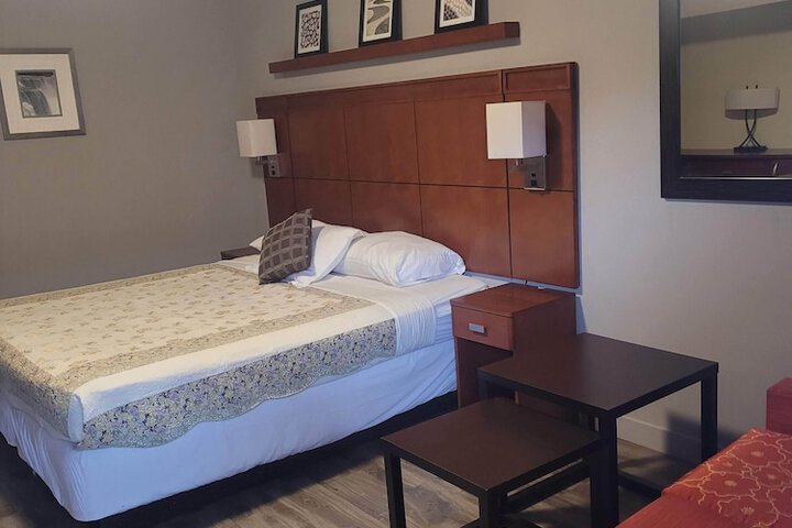 Standard 1 King Bed (5 of 7)